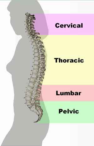 lumbar thoracic compression fracture