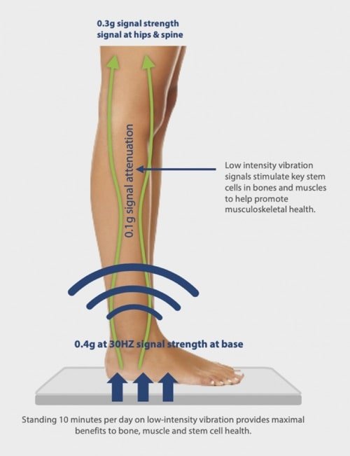 marodyne low intensity vibration melioguide