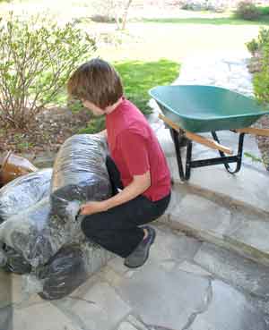 safe movement compression fracture melioguide physiotherapy