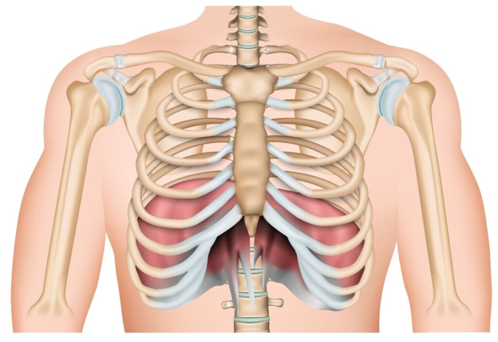 core exercises for osteoporosis - the diaphragm