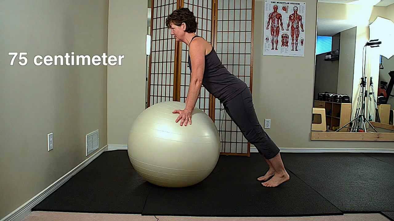 Stability Ball Plank Exercises | Core Strengthening ...