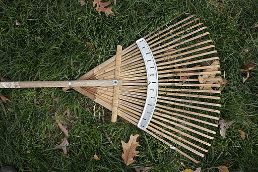 raking leaves safety tips