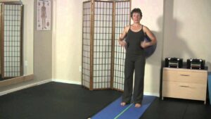 Single Leg Wall Squat with Ball