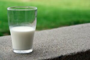 milk and osteoporosis | does milk prevent osteoporosis?