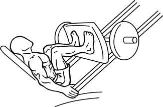 proper leg press form melioguide physiotherapy narrow