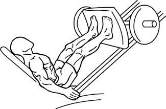 proper leg press form melioguide physiotherapy wide