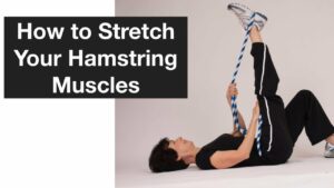 stretch hamstrings melioguide