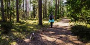 minimalist walking shoes • melioguide physiotherapy