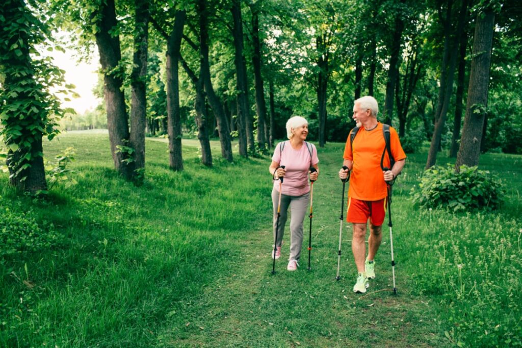 nordic walking poles