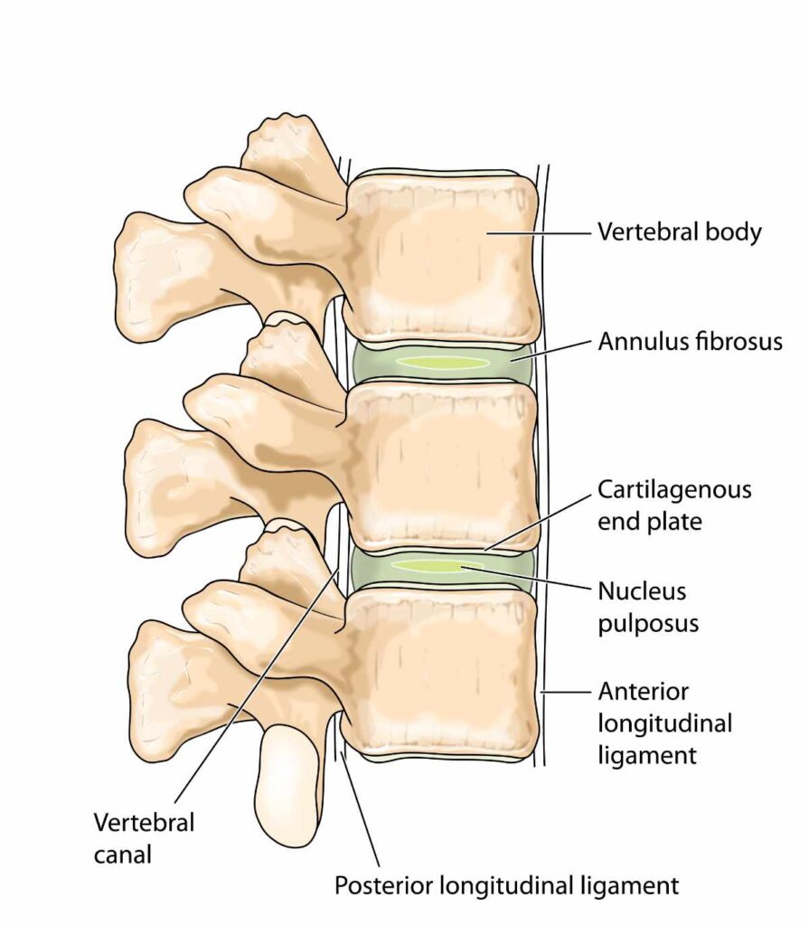 osteoporosis lower back pain sources